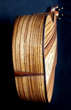 zebra wood tenor ukulele