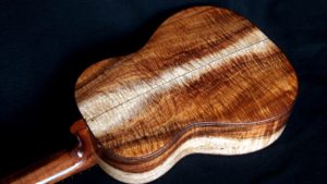 curly koa