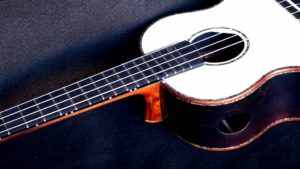 Hula Hips Ukulele with Rosewood and Engleman Spruce