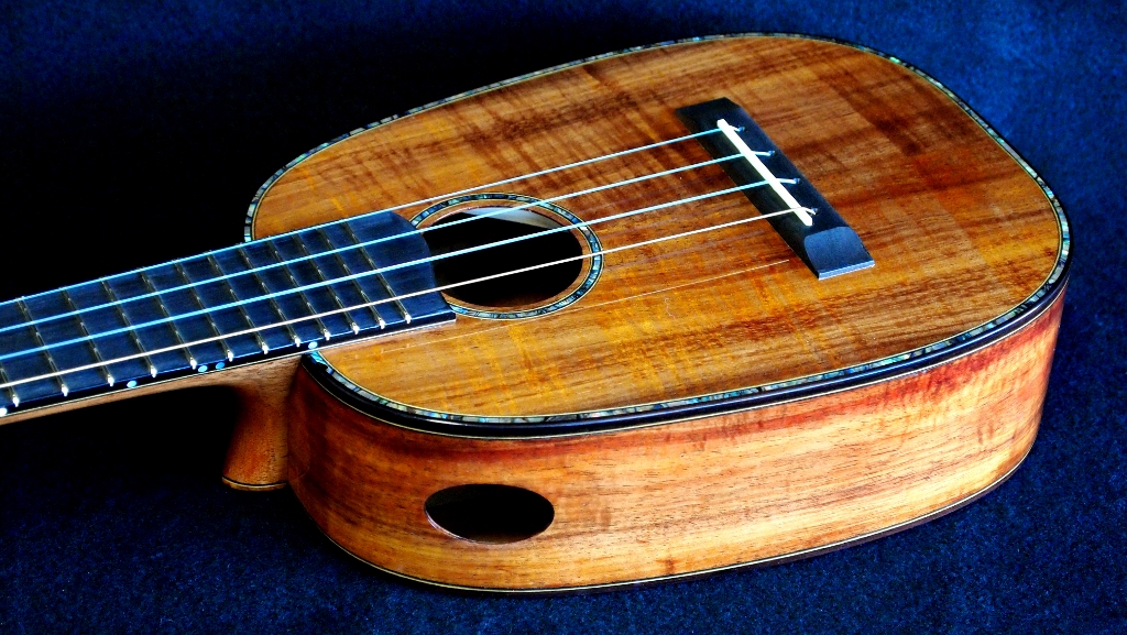 Ukulele Soprano Guitare Hawaii Uke Hula Ukulélé Forme Ananas Corde Nylon  Jaune 4260448150798 