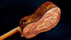 camphor wood burl tenor an attack on the senses ukulele