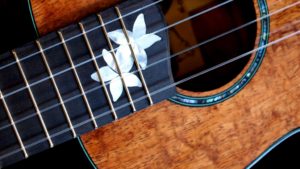 plumeria inlay and koa tenor ukulele