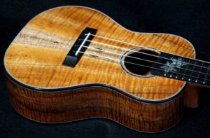 blue plumeria koa concert ukulele