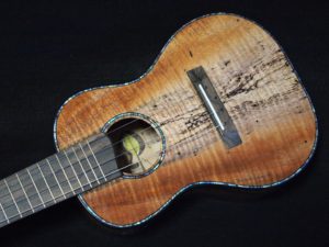 rockin' moon concert ukulele