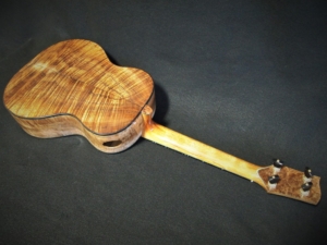 a new hula hips tenor ukulele