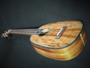 paua moontenor pineapple ukulele