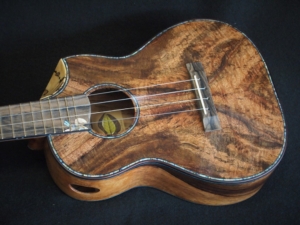 carol's honu tenor ukulele