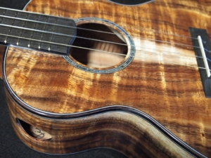 the strength of synergy super tenor ukulele