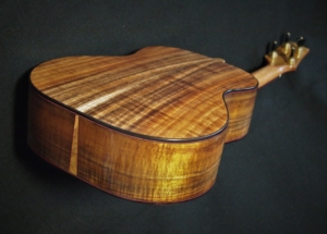 the hula hips tenor ukulele