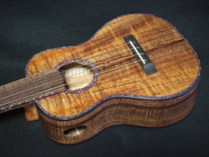 plumeria and koa concert ukulele