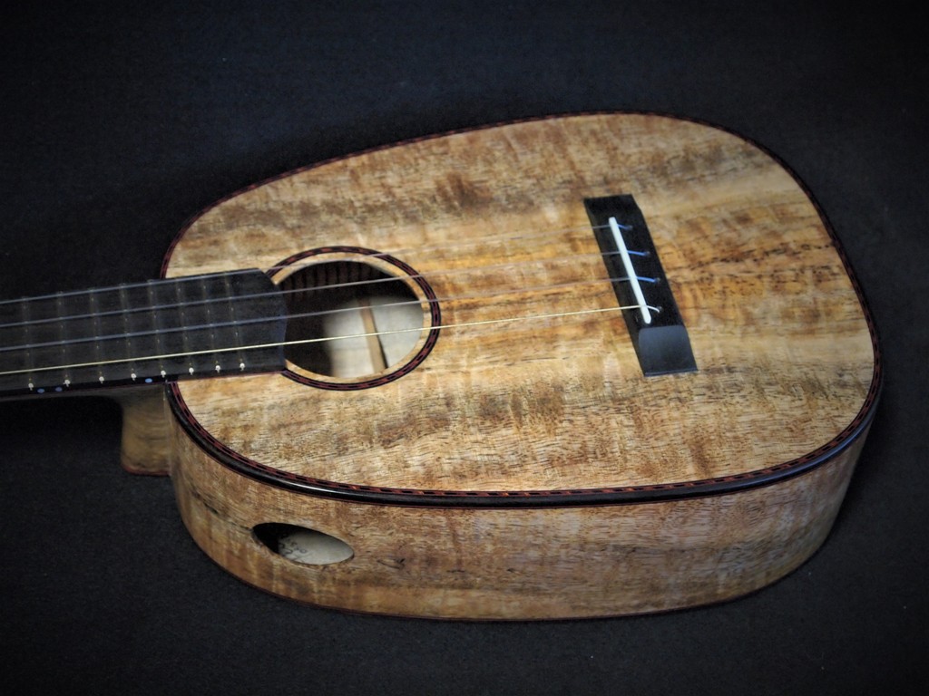 mango tenor pineapple ukulele