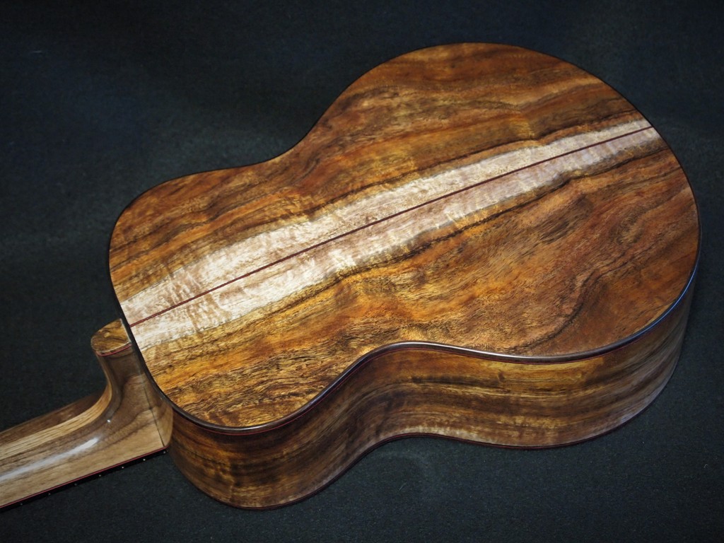 five string super tenor ukulele