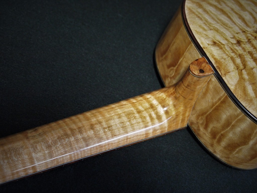 curly maple wood