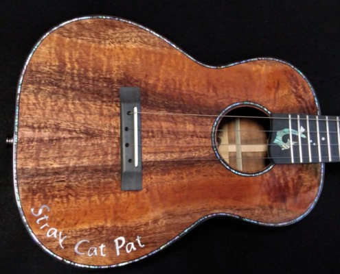 stray cat special ukulele