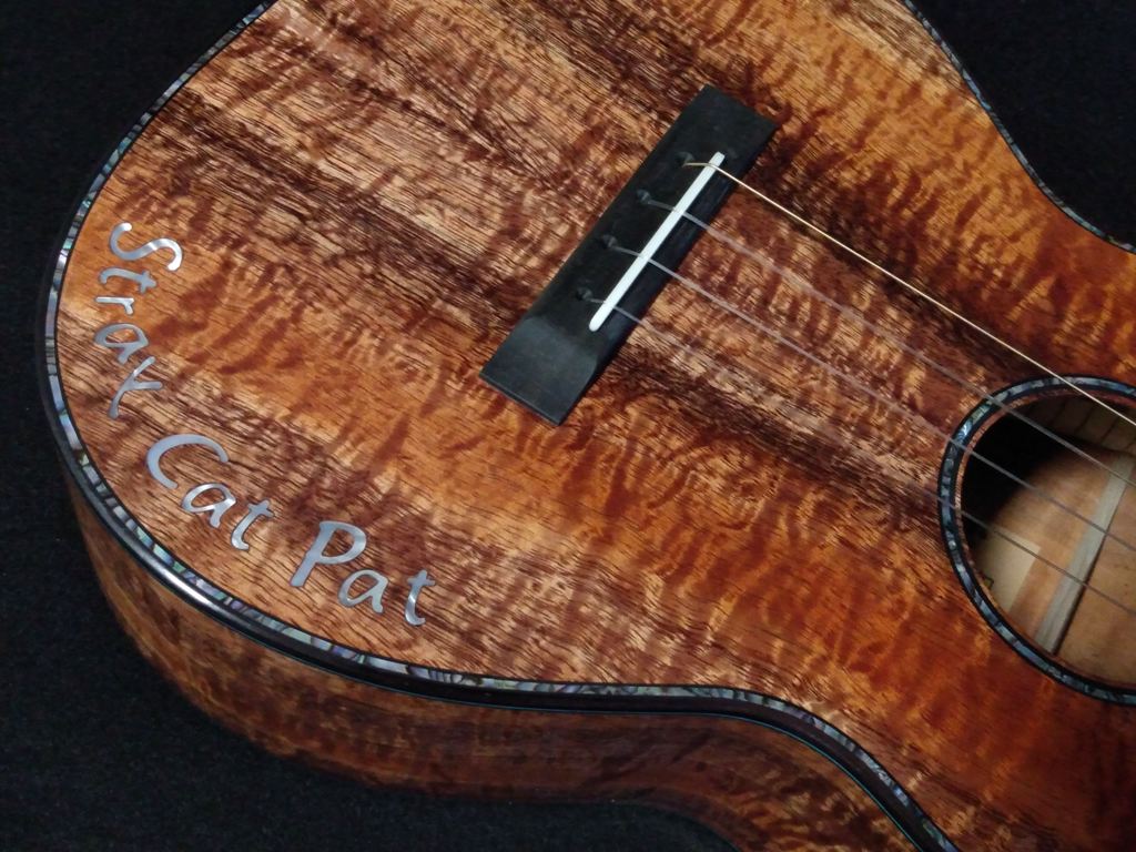 stray cat special ukulele