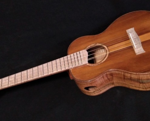 5 string super tenor ukulele