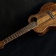 Pheasant Wood Custom Tenor Ukulele