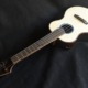 Brazilian And Swiss Custom Ukulele